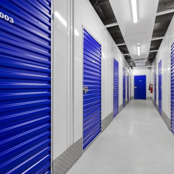 What Document Storage Companies Do For You